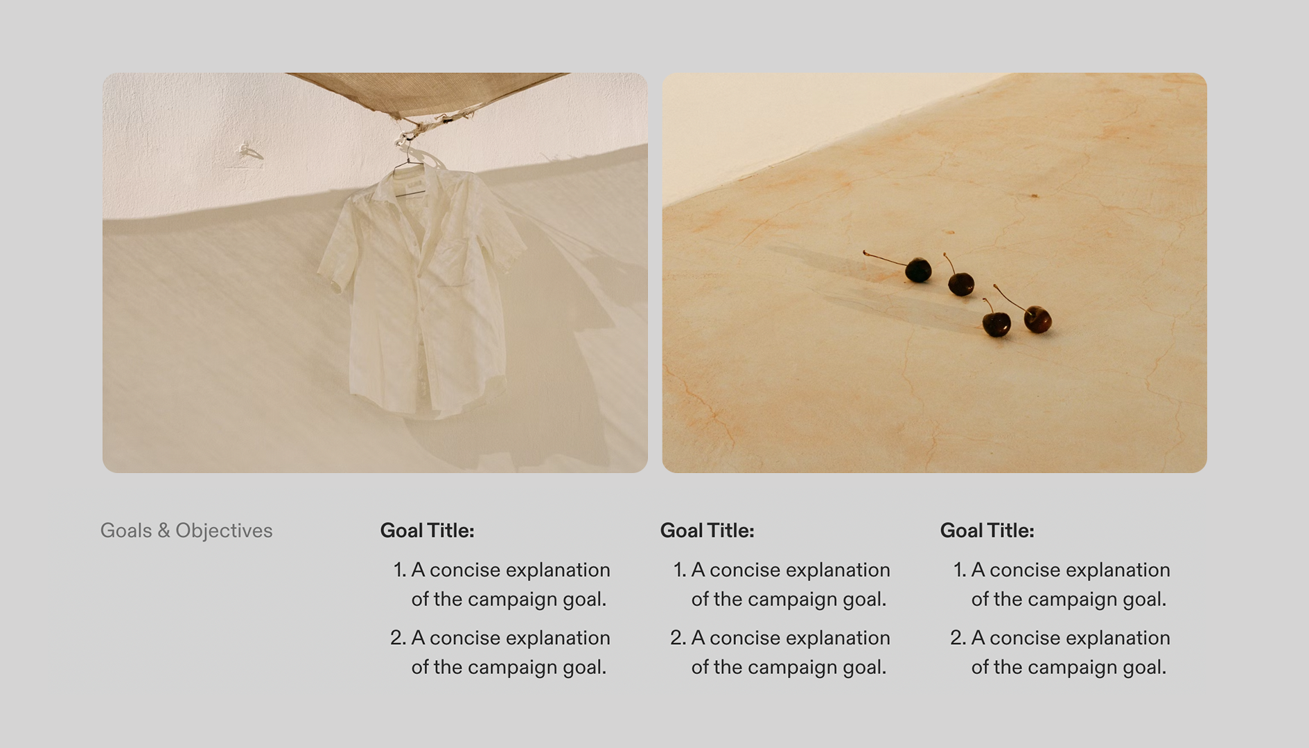 Marketing Campaign Brief Template - Goals & Objectives