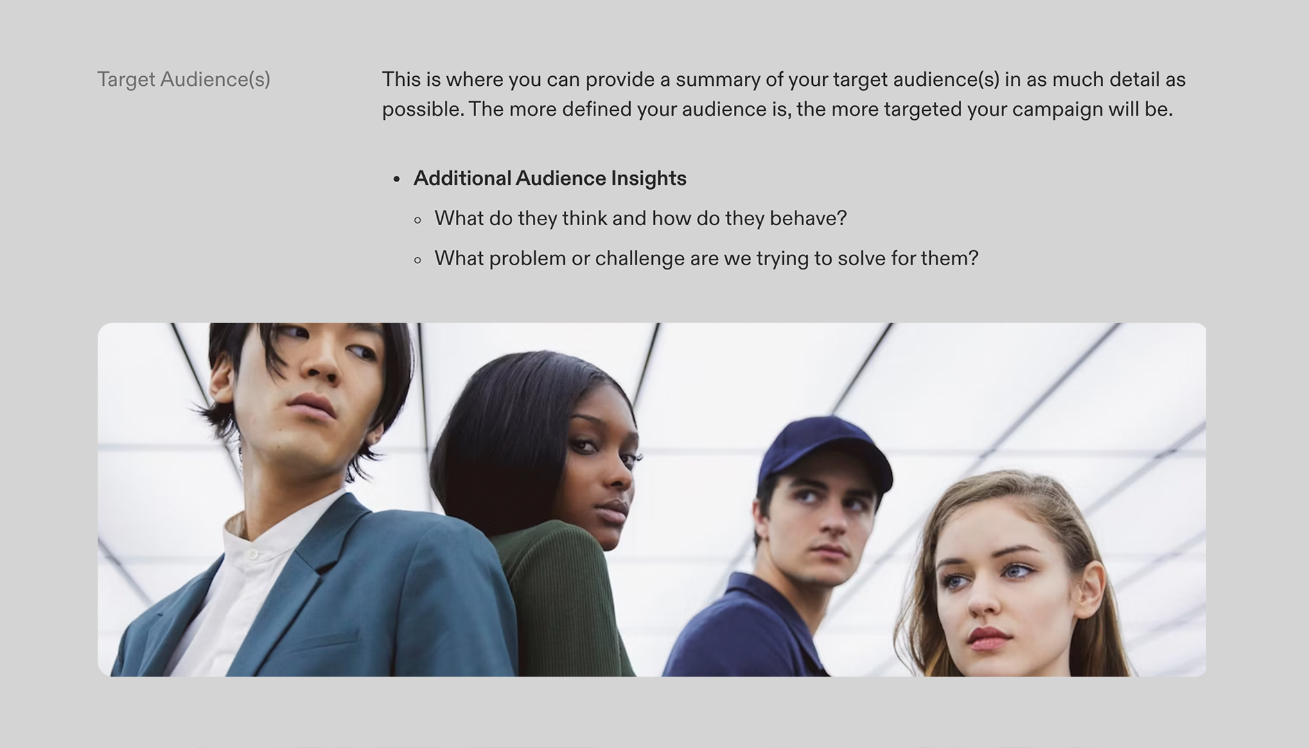 Marketing Campaign Brief Template - Target Audience