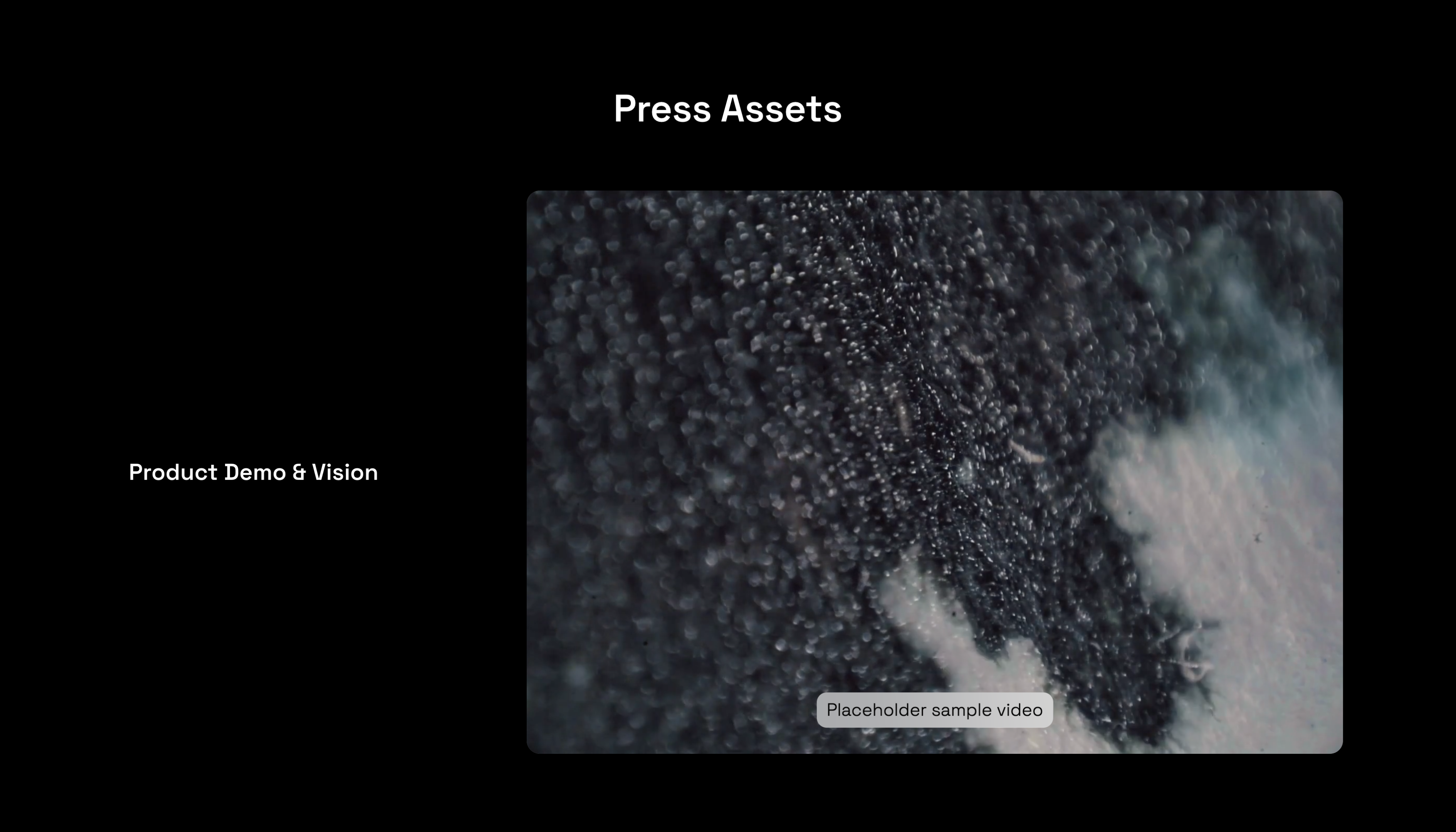 Media Kit Template – Press Kit Section